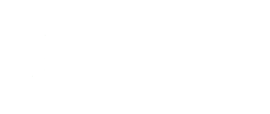 My evergreen